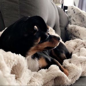 Meet your Posher, Catherine